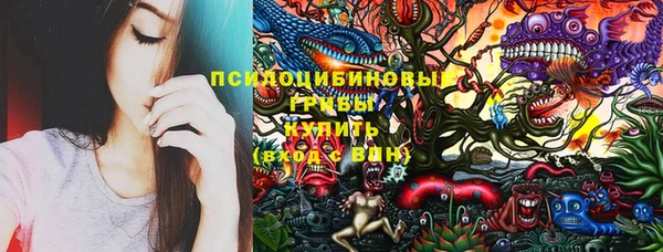 прущий лед Алексин